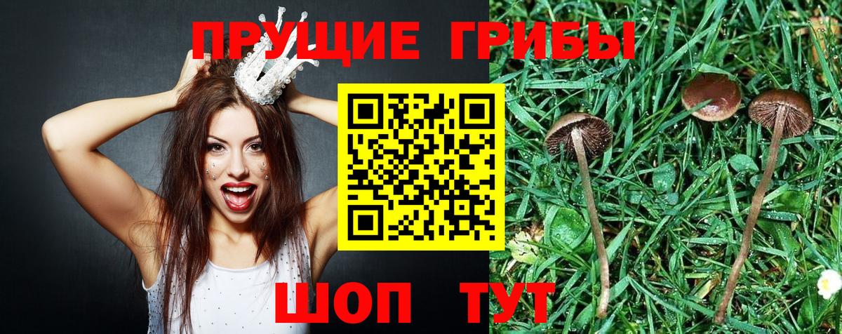 Кокаин  МЕФ  Гашиш  Севастополь  Вход с VPN  Меф кристаллы  Бошки Шишки 