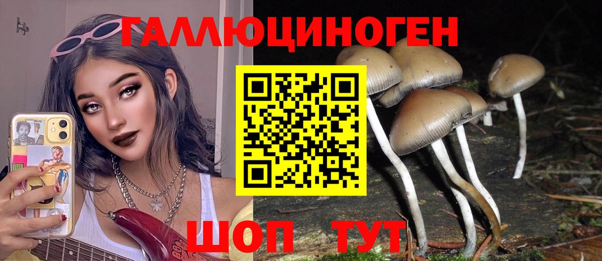 Псилоцибиновые грибы ЛСД Севастополь